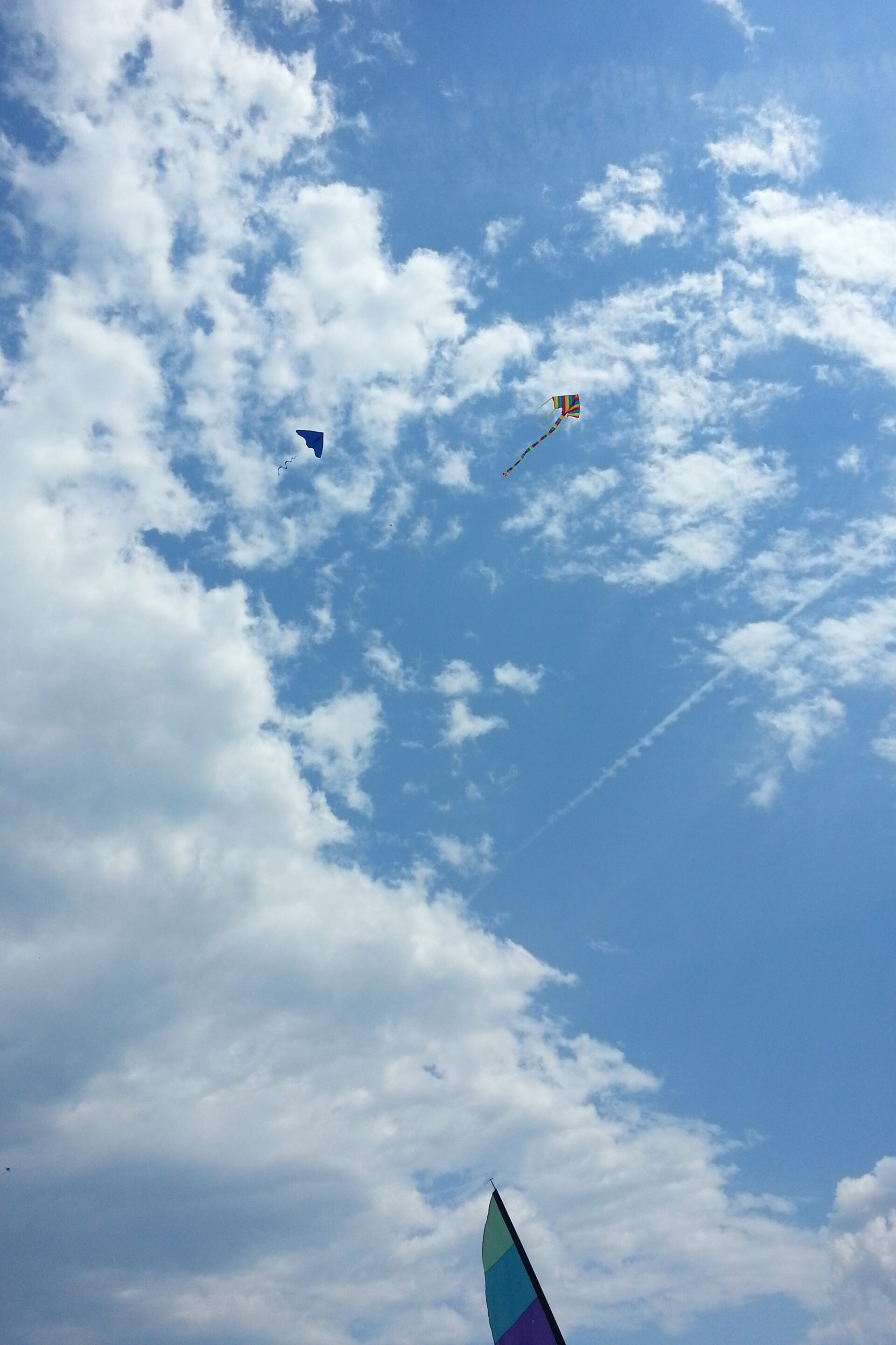 kites